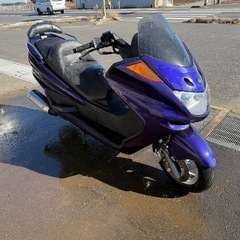 低走行　マジェスティ250 sg03j