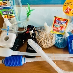 魚飼育セット
