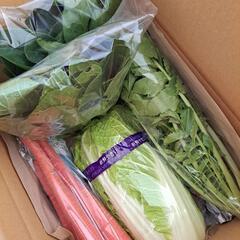 【次回5月以降】お任せ野菜セット