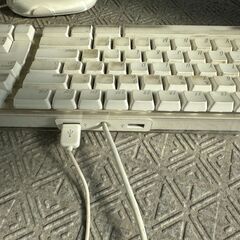 Apple Macintosh keyboard & mouse
