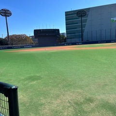 岸根公園でキャッチボールしませんか？