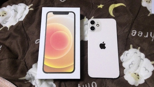 1/24 16時に小田栄駅か武蔵小杉駅で　完品　極美品　SIMフリー　iPhone12mini ホワイト　ゼロハリケース付き②