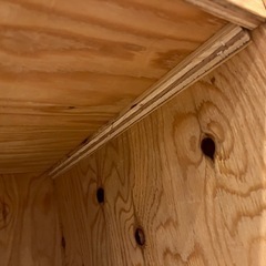 棚/シェルフの画像