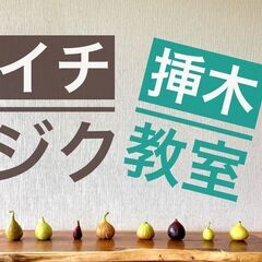 季節限定！いちじく挿木教室！　プランター美味しいイチジクを育てて...