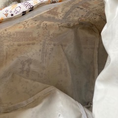 ポケットモンスターのリュックサックの画像