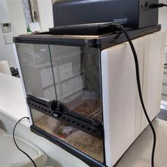エキゾテラ　3030ケージ　照明、上下ヒーターセットの画像