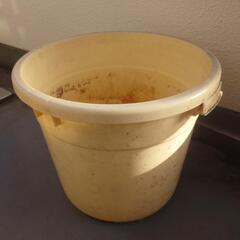 大型漬物容器 蓋無し