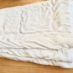 ☆*:.｡掛け布団　トゥルースリーパー　　シングル　未使用品 ....