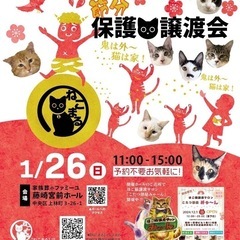 🐈‍⬛ねこまる🐈‍⬛保護猫譲渡会🐈‍⬛🐈💕