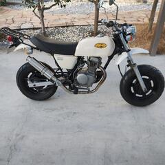 エイプ50  AC16