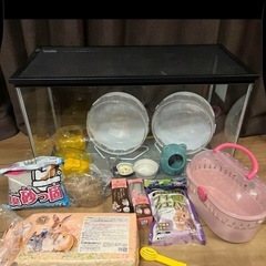 ハムスター飼育セット