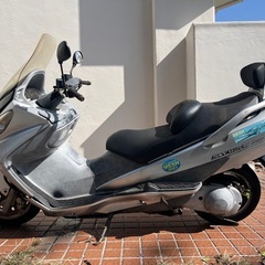スカイウェブ250