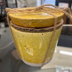 ダルトン購入品❗️新品未使用‼️