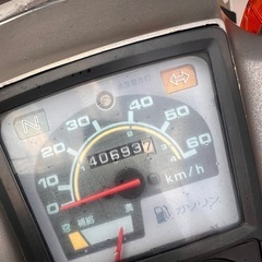 カブの画像