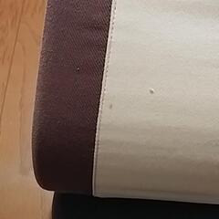 ★値下げ★ベビービョルン　バウンサーの画像