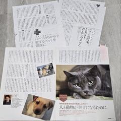 猫の飼育に関するパンフレット等の画像