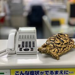 💎📢単発！短期！長期！🌙夜勤！やりたい日だけシフトイン❗ガッツリ...