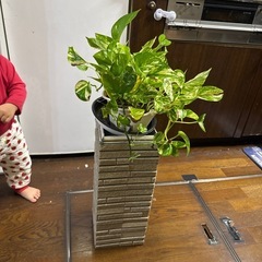 外壁サイディング傘立て 手作りの画像