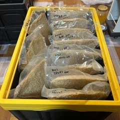 古米差し上げます