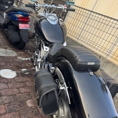 ドラッグスター1100車検4月までの画像