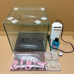 30cmキューブガラス水槽、熱帯魚飼育セット一式