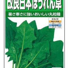 ほうれん草の種