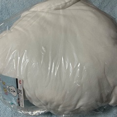 んぽちゃむフェイスBIGクッションの画像