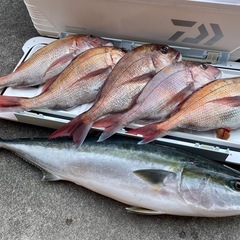 埼玉から日本海！