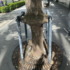 建築作業に興味のある方や経験者を募集していますの画像