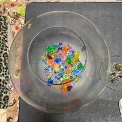 金魚鉢🙄の画像