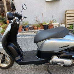 ホンダ　トゥデイ　AF67  FI  最終モデル AF70Eエンジン 　整備済み　引き取り限定　動画ありの画像