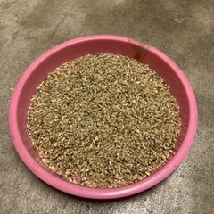 鳥の餌　令和６年産のくず米　引き取り限定の画像