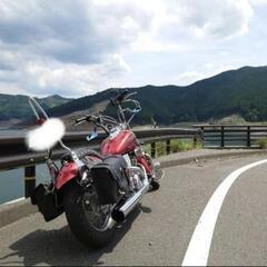 低走行 ドラッグスター 250 VG05J バイク アメリカンの画像