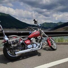 低走行 ドラッグスター 250 VG05J バイク アメリカンの画像
