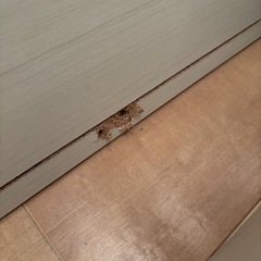【訳アリ】解体済ベッドフレームの画像