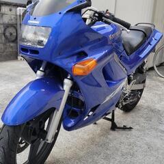 ZZR250 　実働　
