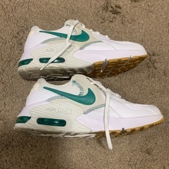 NIKE AIR MAX エアマックスエクシー24.0の画像