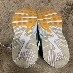 NIKE AIR MAX エアマックスエクシー24.0の画像