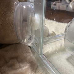 ハムスターゲージ　ルーミィ60の画像