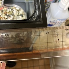 水槽　小型の画像