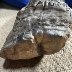 レトロ　石　置物　オブジェの画像