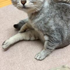 超甘えん坊！ひとりっ子希望♡
