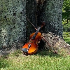 アマチュア『弦楽アンサンブル』メンバー募集
