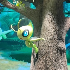 ポケカやりませんかー？