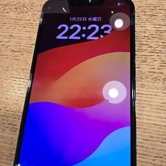 iPhone 13 Pro 256GB 北米版 シャッター音なしの画像