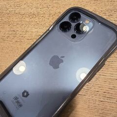 iPhone 13 Pro 256GB 北米版 シャッター音なしの画像