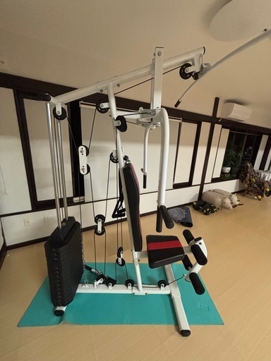 IROTEC (アイロテック) NEWマルチホームジムDX150ポンドタイプV2