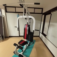 IROTEC (アイロテック) NEWマルチホームジムDX１５０ポンドタイプV2/アブクランチ機能搭載で腹筋強化！マルチジム 筋トレ ウェイトトレーニングベンチ ウェイトトレーニング用大型マシンの画像