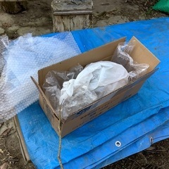 1-1 小型スズメバチの蜂の巣の画像