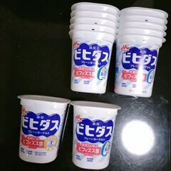 ビヒダスヨーグルト空容器12個